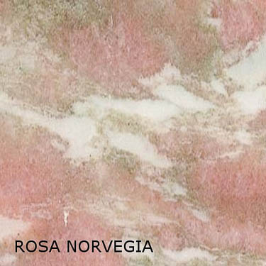 Rosa_Norvegia